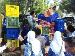Dalam 2 Jam, Pasar Cabai dan Tomat Murah Kementan Ludes Terjual