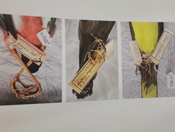 Unik! Pertemuan Antara Seni dan Sains di Galeri Salihara