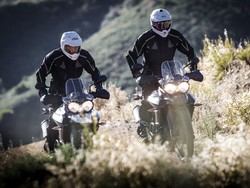 Varian Triumph Tiger Terbaru Lusa Meluncur di Indonesia