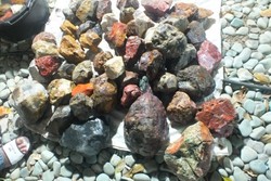 Demam Batu Akik Juga Sampai di Ende, NTT