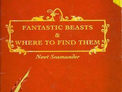 Inggris Jadi Lokasi Perdana Spin-off Harry Potter Fantastic Beasts