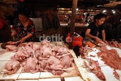5.000 Pedagang Daging Ayam di Bandung Akan Mogok Jualan