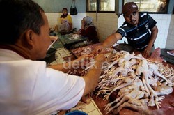 Harga Daging Ayam Melambung, Pedagang Akan Mogok Jualan