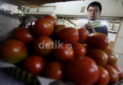 Harga Sayur-Mayur di Yogyakarta Naik Drastis, Kecuali Tomat
