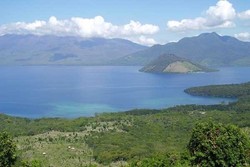 Di Alor, Ada Pulau yang Dihuni 3.000 Rusa!