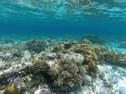 Lihaga, Pulau Surgawi di Minahasa yang Lagi Hit di Instagram