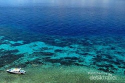 Tumbak, Ini Dia Saingannya Bunaken di Sulawesi Utara