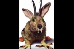 Ajaib! Hewan Dunia Dongeng Jadi Nyata di Museum Jerman