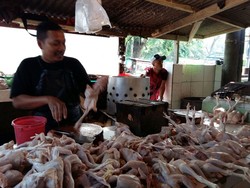 Harga Daging Ayam Hanya Turun Rp 500 Jadi Rp 39.500/Kg