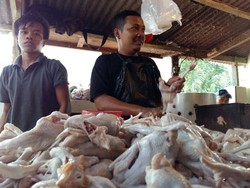 Kabarnya Mau Mogok, Pedagang Ayam di Jakarta Masih Berjualan