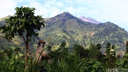 200 Hektare Lahan di Merbabu Hangus Terbakar, Pagi ini Api Masih Menyala