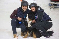 Traveler Ini Wujudkan Bucket List Anjingnya yang Sekarat