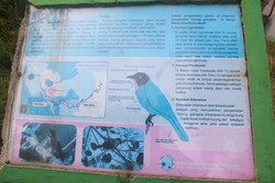 Kisah Garugiwa, Burung Arwah Penjaga Danau Kelimutu