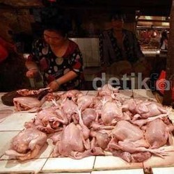 Harga Ayam Masih Rp 38 Ribu/Ekor, Pedagang: Jualnya Susah, Nggak Bisa Untung