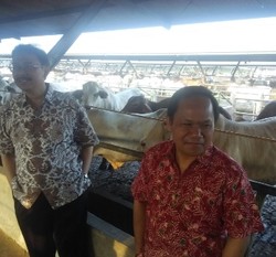 Sidak Mentan ke Jonggol dan Bekasi Diwakili Staf Ahli