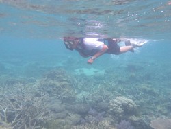 5 Hal yang Jangan Dilakukan Saat Berenang di Laut