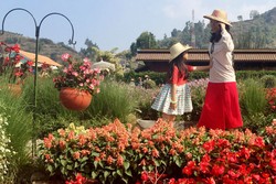 5 Tips Membuat Foto Seperti di Luar Negeri