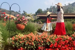 5 Tips Membuat Foto Serasa di Luar Negeri