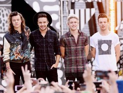 Tidak Bubar, One Direction Hanya Vakum