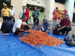 Ada 5 Tangan di Rantai Distribusi Cabai, Bisakah Dipangkas?