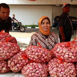 Pasar Tani Murah di Ragunan Diserbu PNS Kementan