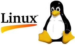 Ultah ke-24 Linux: Jauh di Hati, Dekat di Mata