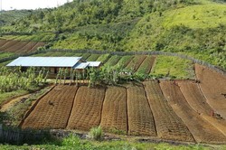 Penampakan Desa Terjauh di Kaki Carstensz