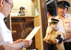 Kisah Nyata, Kucing Diangkat Jadi Kepala Stasiun di Jepang
