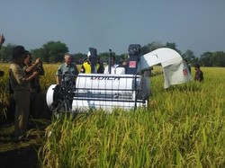 Ini Alasan Data Produksi Beras Pemerintah Berbeda-Beda