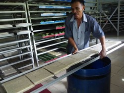 Yuk, Mengintip Sentra Produksi Tempe Modern di Jakarta