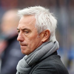 Van Marwijk Jadi Pelatih Baru Arab Saudi