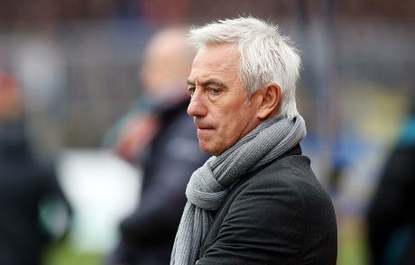 Van Marwijk Jadi Pelatih Baru Arab Saudi