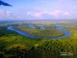Kalimantan Barat Juga Punya Hutan Ala Amazon di Ketapang