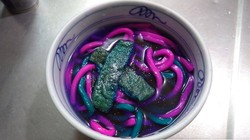Sluurp! Udon Berwarna Elektrik Ini Menyala Dalam Gelap