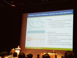 Susi: Kami Tidak Anti Asing, Tapi Investor Asing Tak Boleh Tangkap Ikan