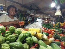 Ada OP Bulog, Harga Cabai Rawit Masih Bertahan Tinggi Rp 70.000/Kg