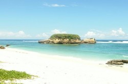 Pantai di Lombok Ini Punya Karang Berbentuk Penyu