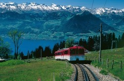 Bikin Risih, Turis Tiongkok Diberi Kereta Terpisah di Swiss