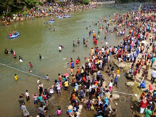 Ribuan Warga Pesta Parak Iwak di Sungai Serayu