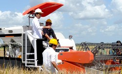 Ambisi Jokowi Agar Padi, Jagung, dan Kedelai Bebas dari Impor