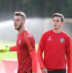Bagaimana dengan De Gea, Van Gaal?
