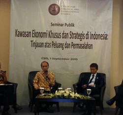 Kawasan Ekonomi di RI Tak Laku dan Kalah dari Singapura, Ini Sebabnya