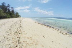 Perawan Cantik dari Buton itu Bernama Koguna