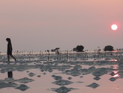 Hunting Foto Akhir Pekan, ke Kepulauan Seribu Saja