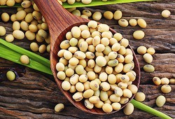 Kalau Ingin Sehat dan Turun Berat Badan, Konsumsilah 10 Sumber Protein Sehat Ini (2)