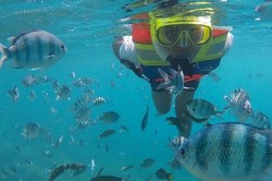 Menyelami Indahnya Kepulauan Karimunjawa