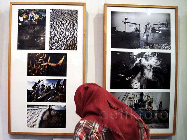 PFI Yogyakarta Gelar Pameran Foto Nusa Bahari