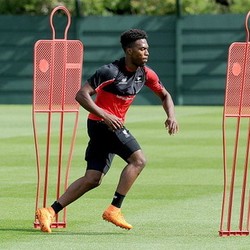 Sturridge Masuk Skuat Liverpool di Liga Europa