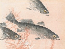 Gyotaku, Lukisan Ikan Tradisional Khas Jepang