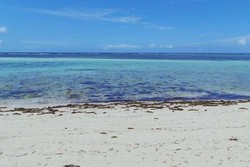 Seperti Punya Pantai Pribadi di Pesisir Buton